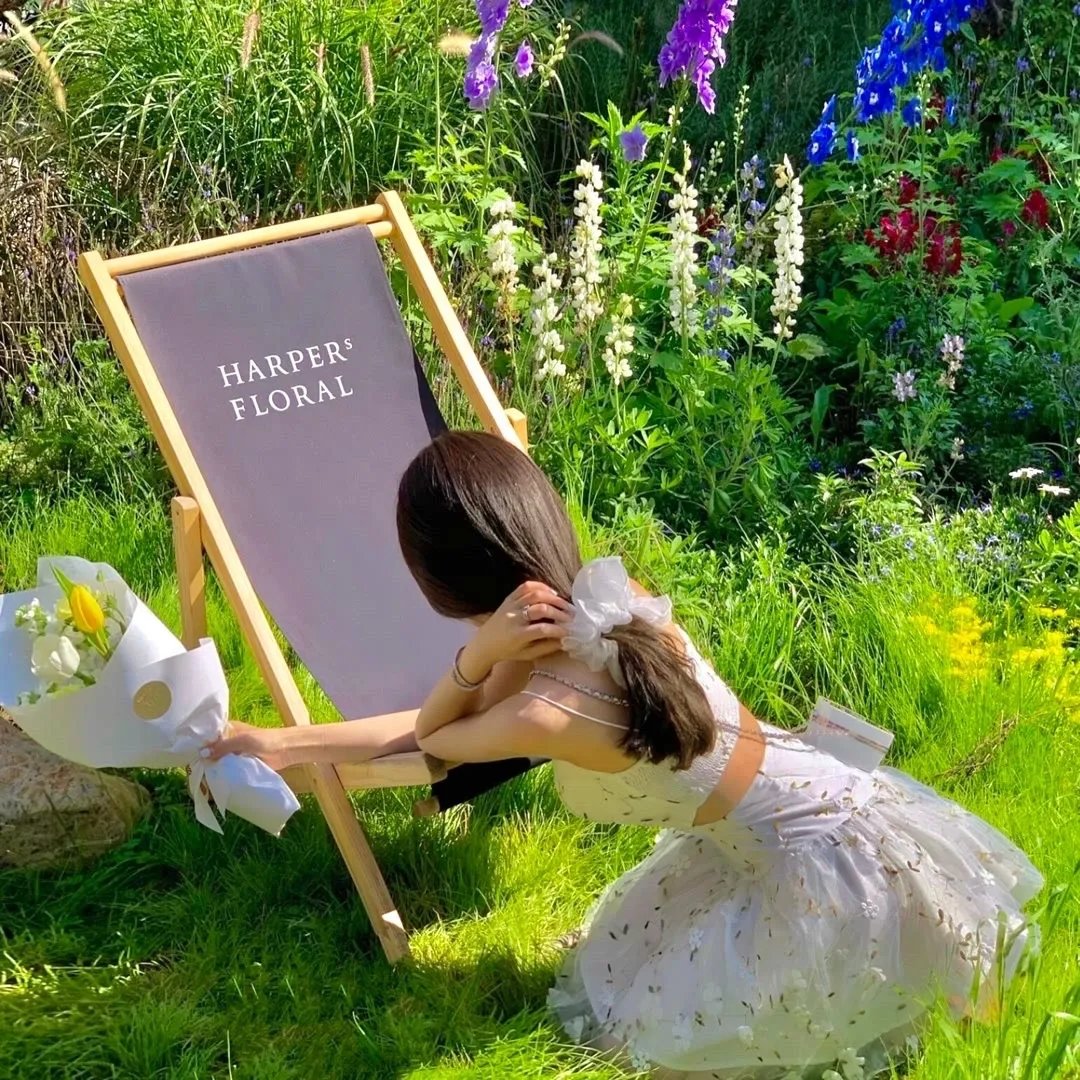 幽游白书真人版